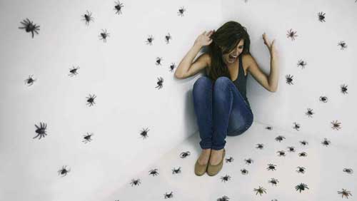 10 consejos para eliminar el miedo a las arañas