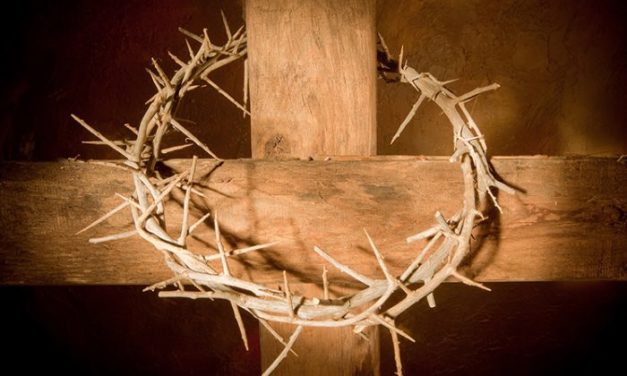 ¡Las espinas de este mundo que ahogan la Palabra de Dios!