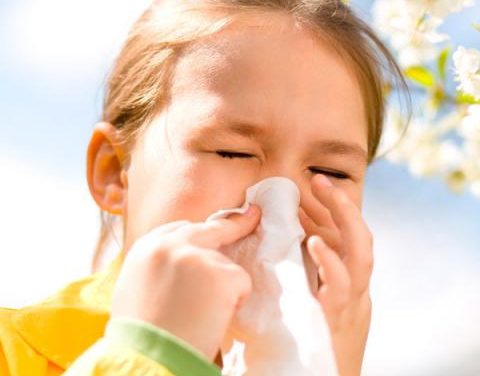 alergias Síntomas, diagnóstico, tratamiento y manejo