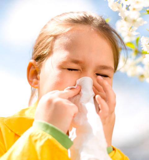 alergias Síntomas, diagnóstico, tratamiento y manejo