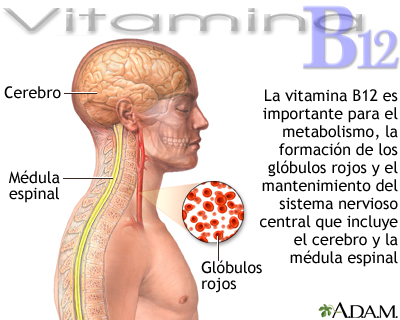 Síntomas de deficiencia de vitamina B12: Beneficios de la vitamina B12