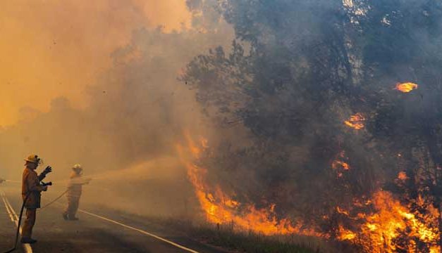 El coronavirus está trayendo una plaga de predicciones peligrosas del fin del mundo