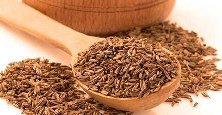 Beneficios populares para la salud con las semillas de comino
