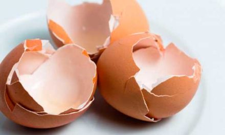 3 sorprendentes usos de  cáscaras de huevo que debes probar para lograr un aspecto radiante