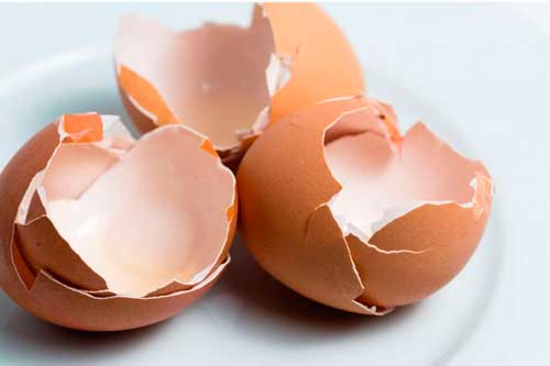 3 sorprendentes usos de  cáscaras de huevo que debes probar para lograr un aspecto radiante