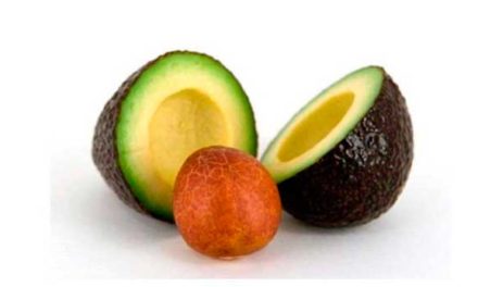 beneficios de las semillas de aguacate que pueden mejorar tu salud y belleza