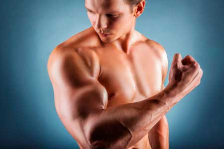 Masa muscular… Creciendo y ganando músculos