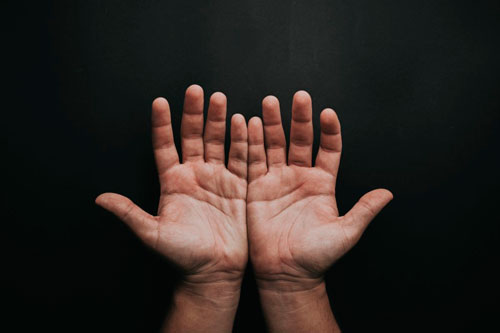 El futuro en tu palma: ciencia y los secretos de la mano