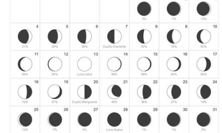 Calendario lunar 2022: la fecha de cada ciclo lunar
