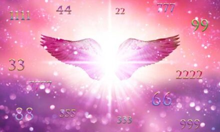 Números de ángeles