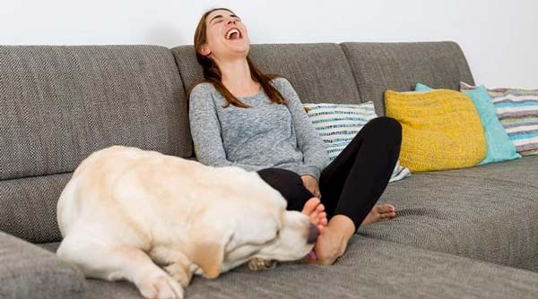Las 5 razones por las que su perro le lame los pies